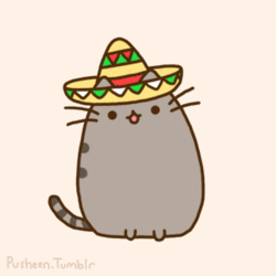 mexicat
