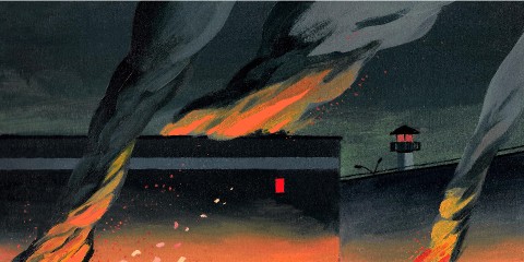 © De las ilustraciones: David de las Heras, España, 2016.