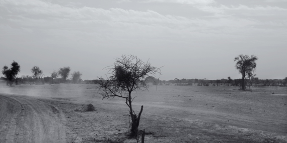 Fotografía Samuel Aranda