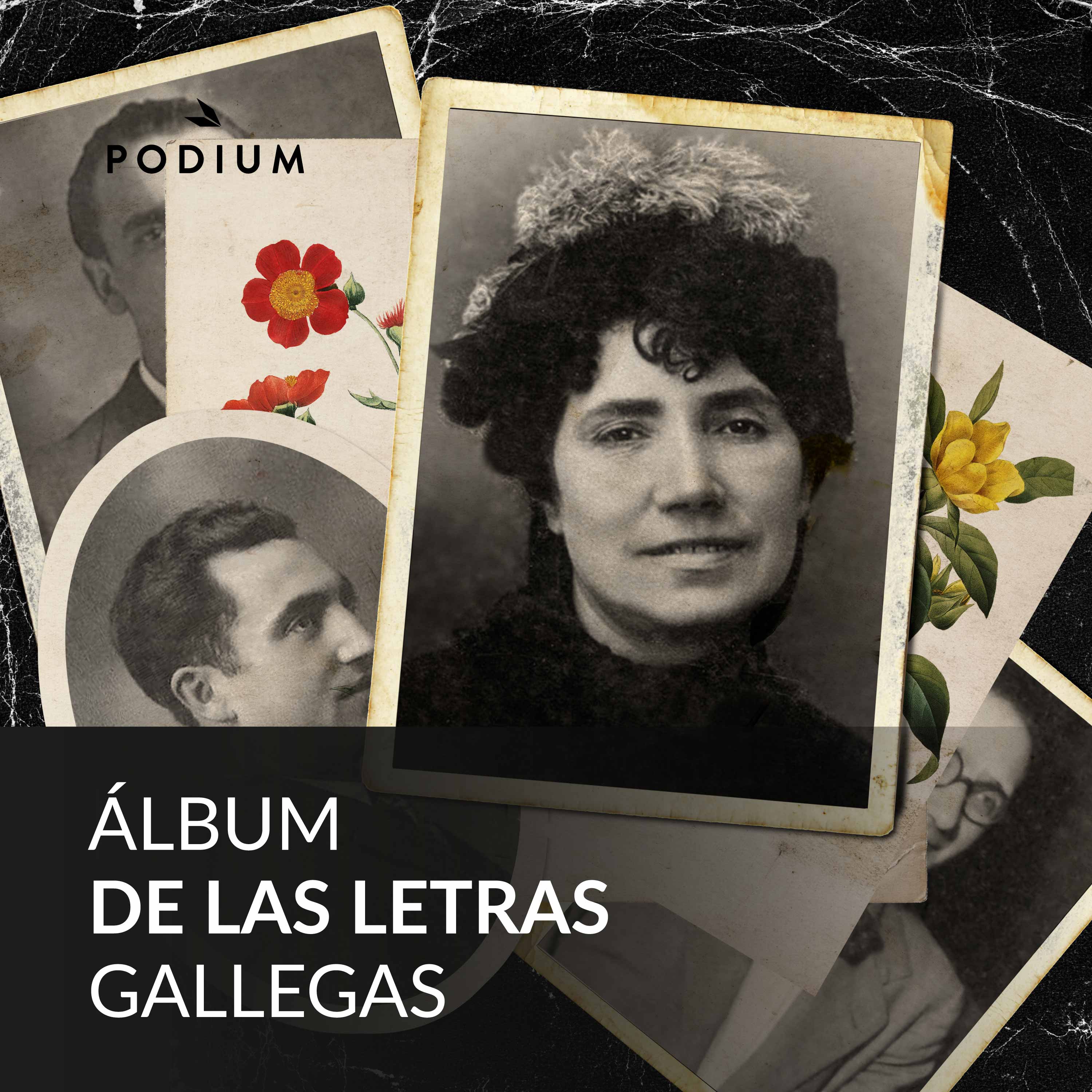 Álbum de las letras gallegas – Álbum das letras galegas
